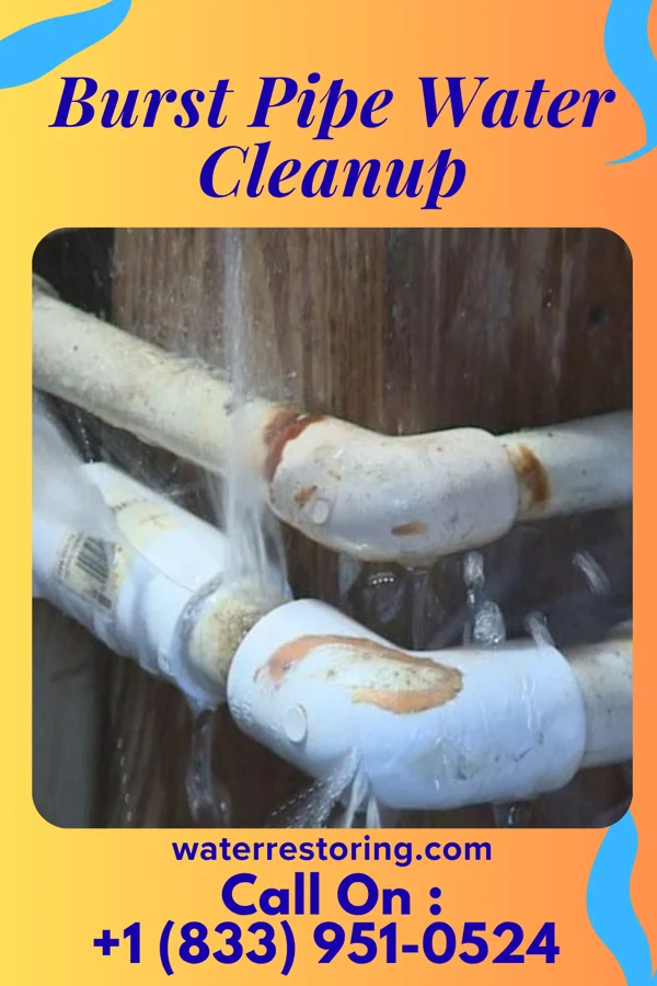 Burst Pipe Water Cleanup in Henderson, LA