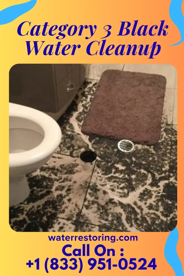 Category 3 Black Water Cleanup in Henderson, LA